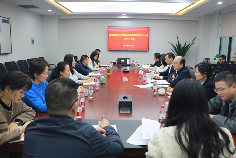 誠(chéng)通國(guó)貿(mào)召開黨委理論學(xué)習(xí)中心組（擴(kuò)大）學(xué)習(xí) 深入學(xué)習(xí)貫徹黨的二十屆三中全會(huì)精神